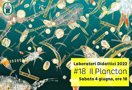 Laboratori Didattici 2022 #18 Il Plancton