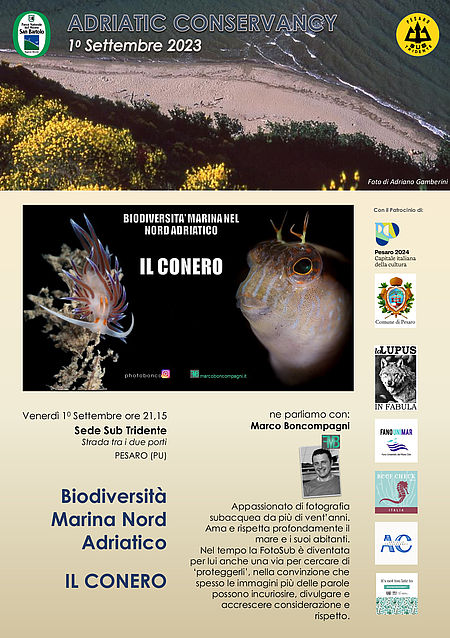 Biodiversità Marina nel Nord Adriatico