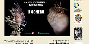 Biodiversità Marina nel Nord Adriatico