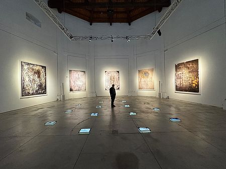 Immagini mostra Silvano Bacciardi