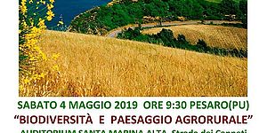 THE ZELDA CONGRESS - locandina