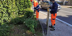 operai del verde al lavoro 