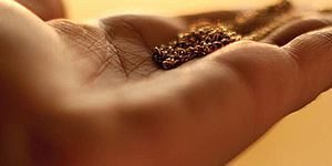 particolare foto coperina del libro