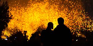 Gente che guarda le lucciole