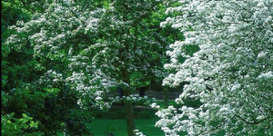 Manifesto seminario fitotecnologie 