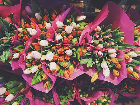 mazzi di tulipani