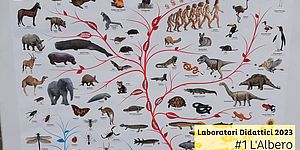 Laboratori Didattici 2023 #1 L'albero della vita