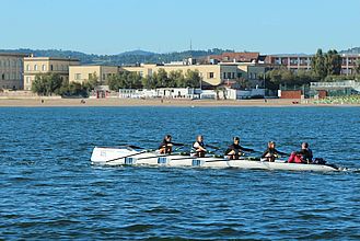 costal rowing 2014