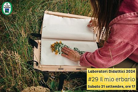 bambina che inserisce dei fiori in mezzo a due fogli di un quaderno posto su un prato