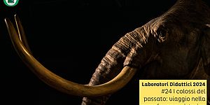 Laboratorio i colossi del passato: viaggio nella megafauna preistorica