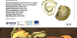 Ostriche e Mare Adriatico, un legame antico