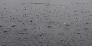 immagine_pioggia