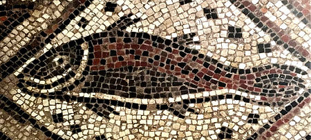 Forografia di un mosaico del Duomo di Pesaro