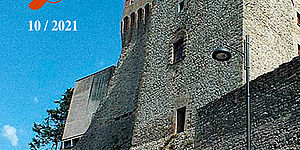 Studi Pesaresi n. 10. Copertina