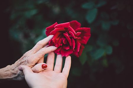 mani con rosa