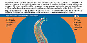 Gli invisibili