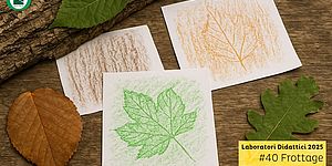 locandina di Frottage in natura