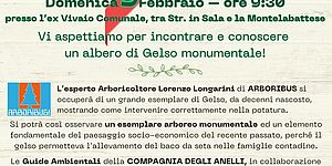 Locandina Il Gelso incontro 9 febbraio 2025