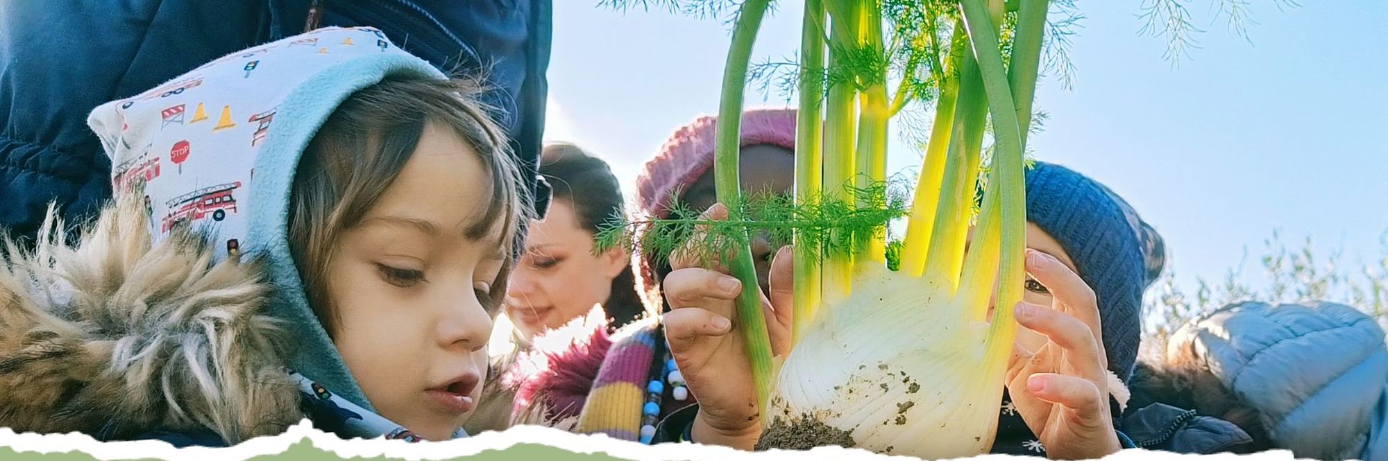 Educare è plurale