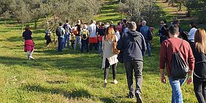 persone con piante di ulivo