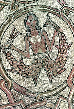 Mosaici della Cattedrale, pavimento superiore, VI-XII sec., riquadro con Sirena bicaudata