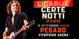 Immagine Concerto di Ligabue