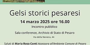 Gelsi storici pesaresi