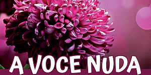 Fotografia di un fiore