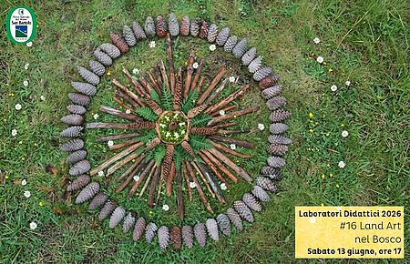 locandina di Land Art nel bosco