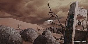 foto di Alessandro Rossini