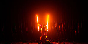 ©Vladimir Bertozzi_Arboreto 20