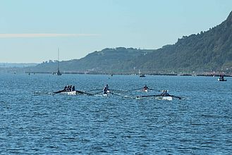 costal rowing 2014