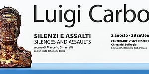 Silenzi e assalti - Luigi Carboni