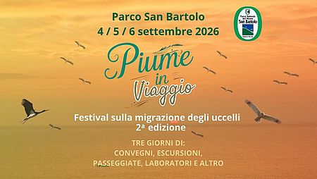 Piume in viaggio Locandina di Piume in viaggio