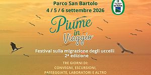 Locandina di Piume in viaggio