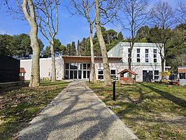 Alberone - Polo "Il Faro"