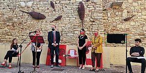 Vimini Ceccarelli ed altri