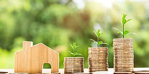 immagine generica soldi