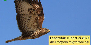 Laboratori Didattici 2023 #8 Il popolo migratore