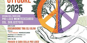 Camminata tra gli Ulivi Grafica