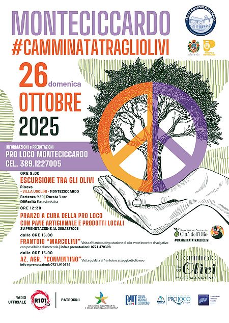 È dedicata alla Pace l’edizione 2025 della “Camminata tra gli olivi” di domenica a Monteciccardo Camminata tra gli Ulivi Grafica