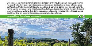 I vini del territorio. Locandina