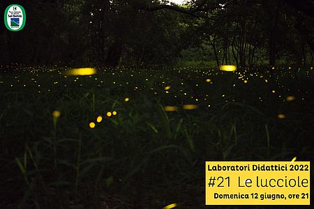 Laboratorio 21 Parco San Bartolo