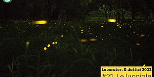 Laboratorio 21 Parco San Bartolo