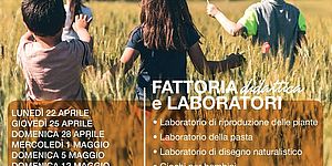 Gran festa dell'aia 2019