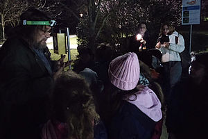 passeggiata nel bosco bambini