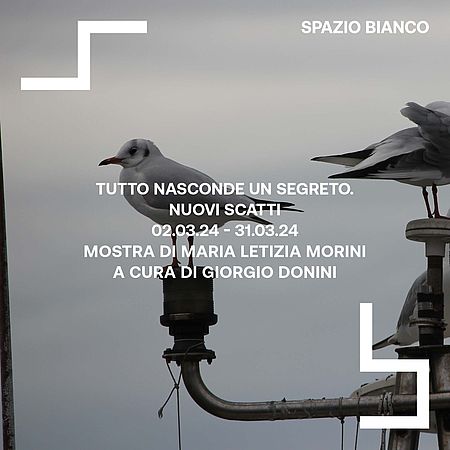Tutto nasconde un segreto di Nuovi scatti. Monini Letizia