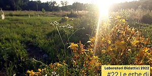 Laboratori Didattici 2022 #22 Le erbe di San Giovanni