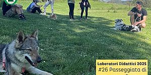 Locandina di Passeggiata di gruppo a 6 zampe