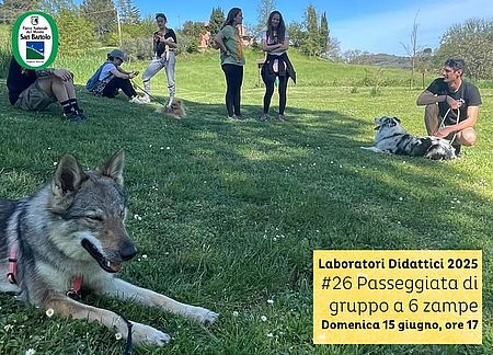 Locandina di Passeggiata di gruppo a 6 zampe